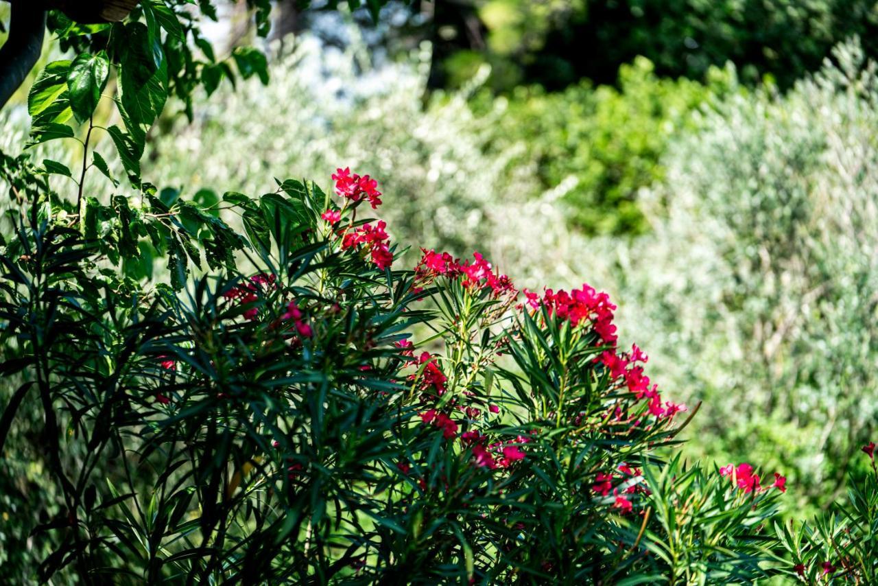 Agriturismo Le Chiusure San Felice del Benaco Exterior photo